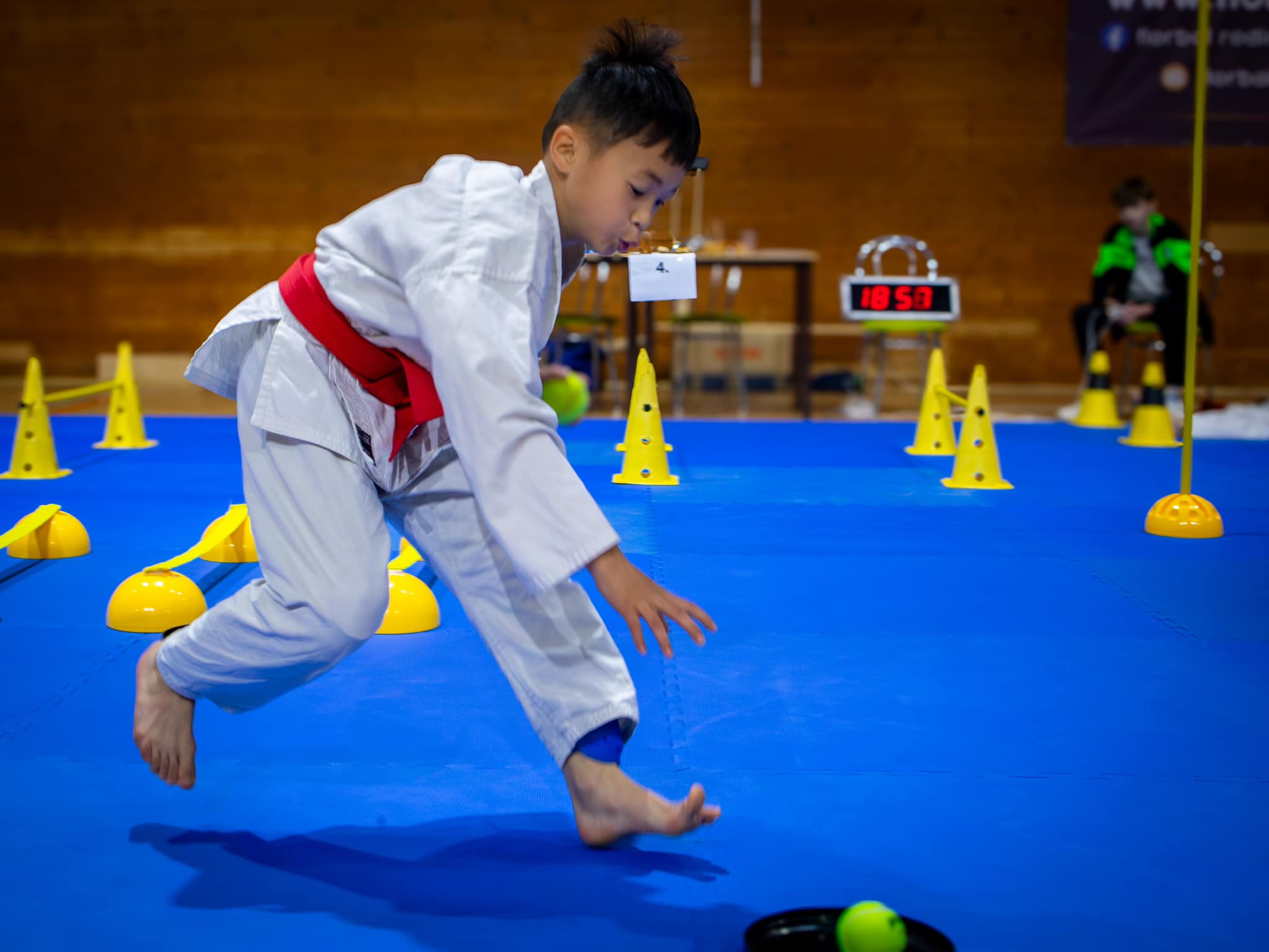 Karate Wheel